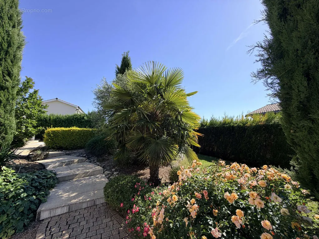 Maison 5 pièces à Villefranche-Sur-Saone