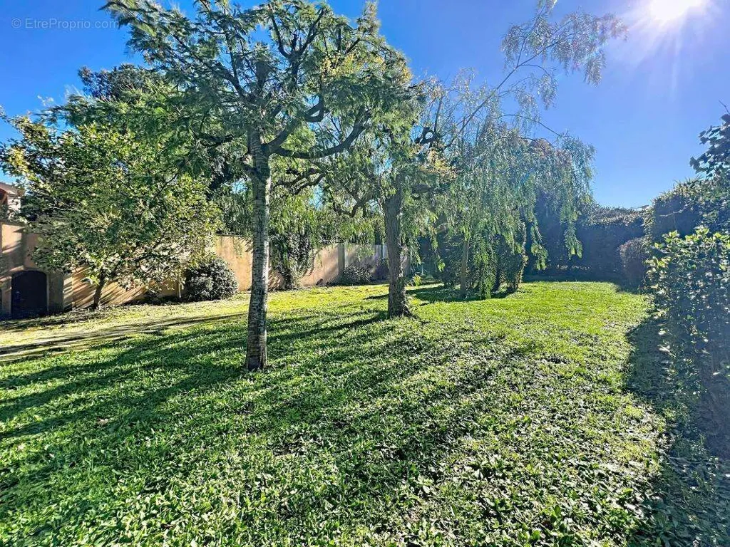 Jardin - Propriété Provençale avec Piscine et Jardin Paysager