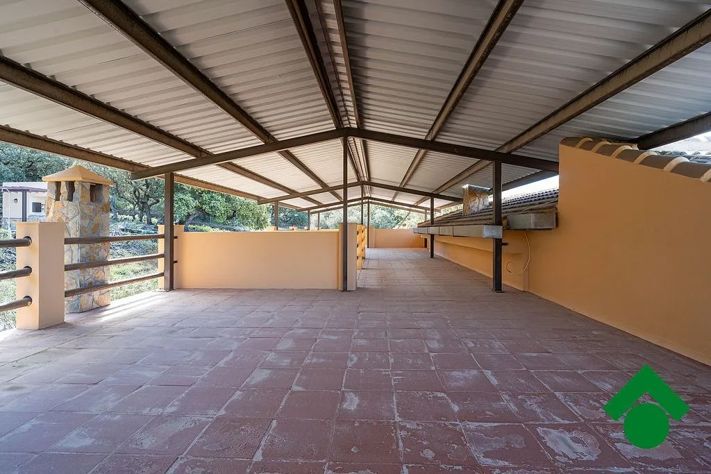 terrace_patio