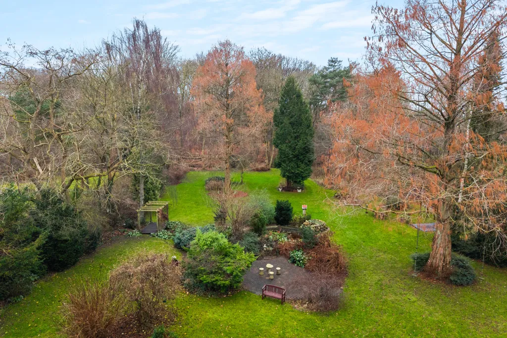 garden