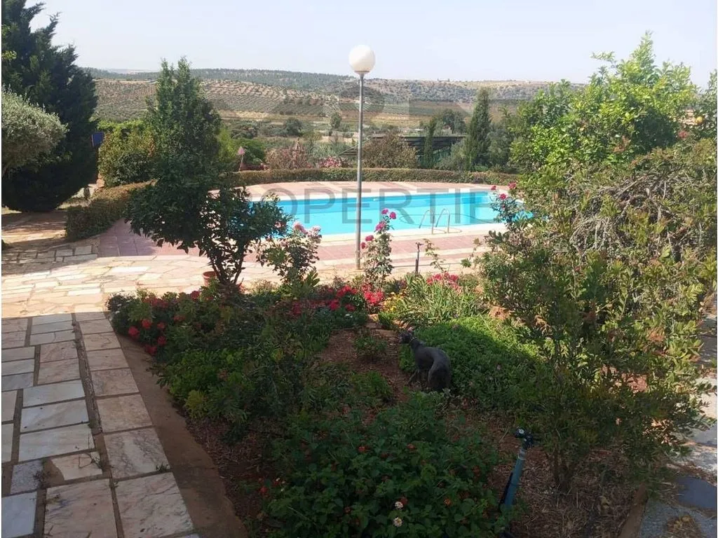 Bassein - Rural Cortijo with Pool near Alange
