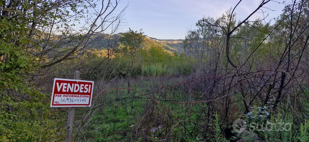Aed - Buildable Land with Hill Views in Lapio