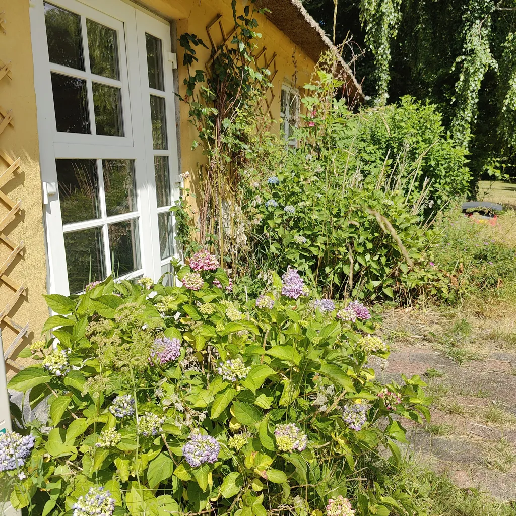 Jardin - Handcrafted Cottage with Unique Garden in Kielstrup