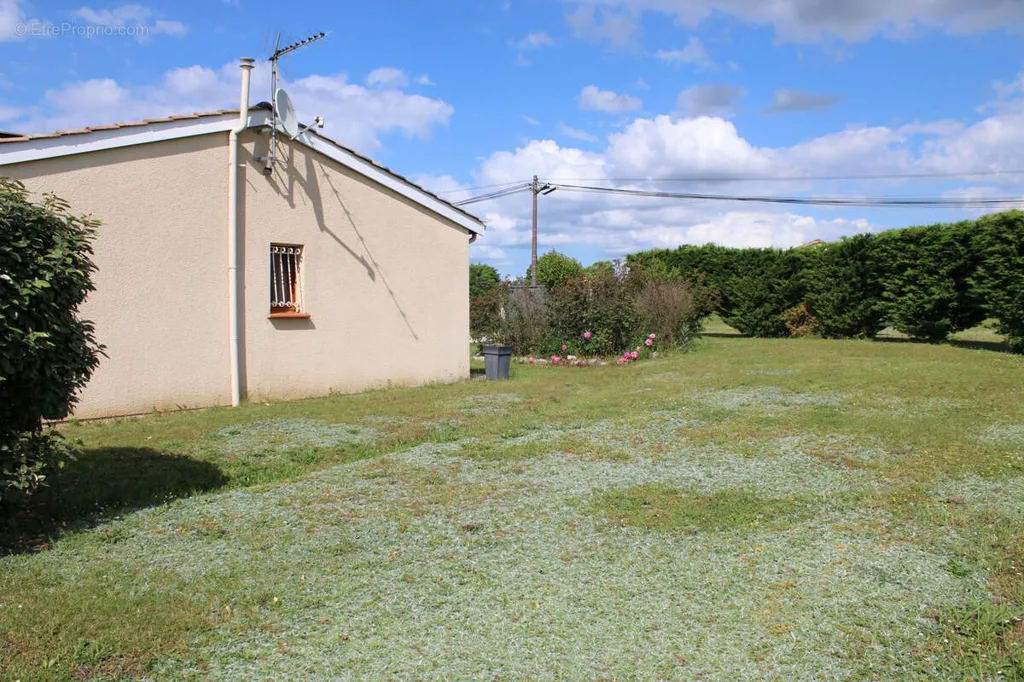 Jardin - Maison Individuelle avec Grand Terrain Clôturé