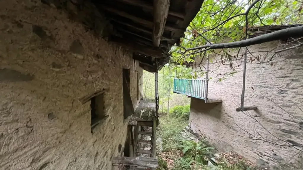 Jardin - Rustic Property with Forest Land in Bagnolo Piemonte
