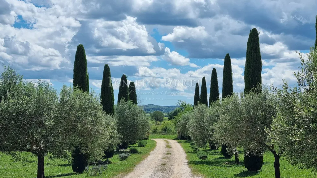 Extérieur - Vignoble avec Piscine près d'Uzès