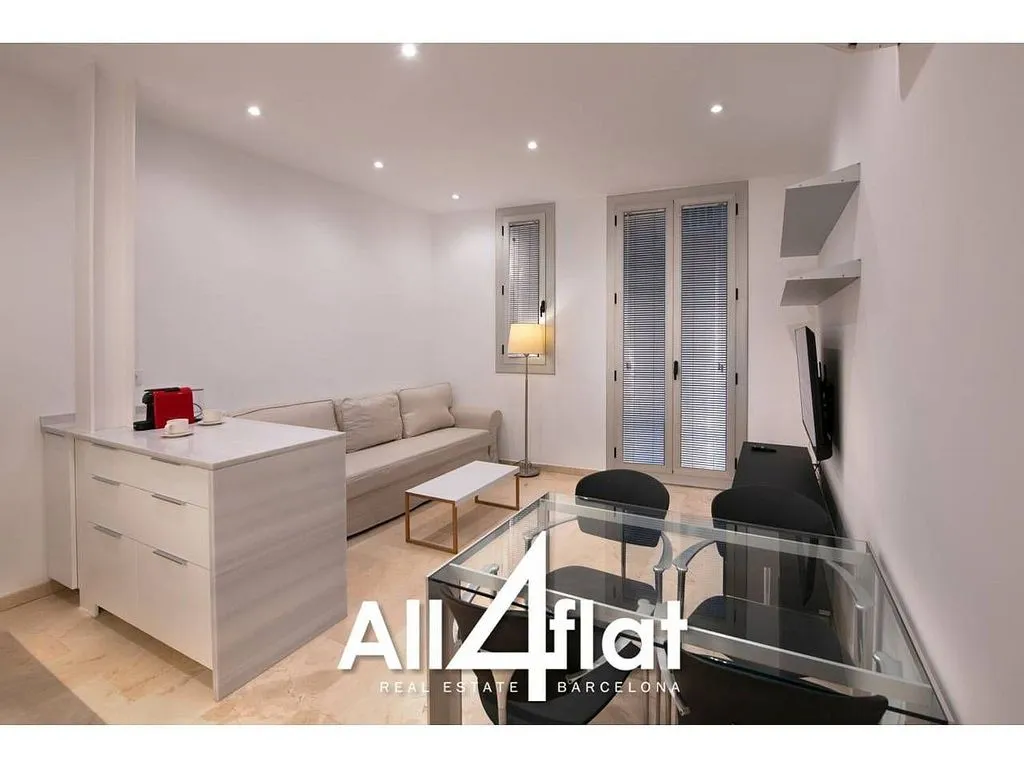Elutuba - Studio with South Orientation in Sant Pere, Barcelona