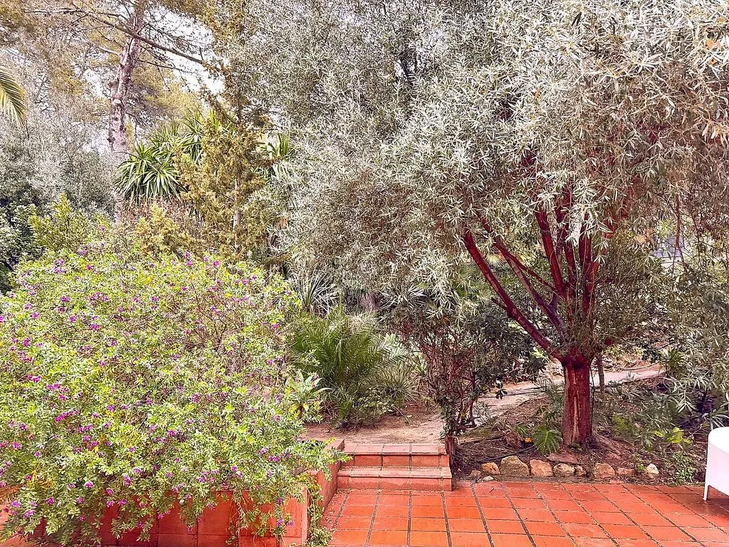 terrace_patio