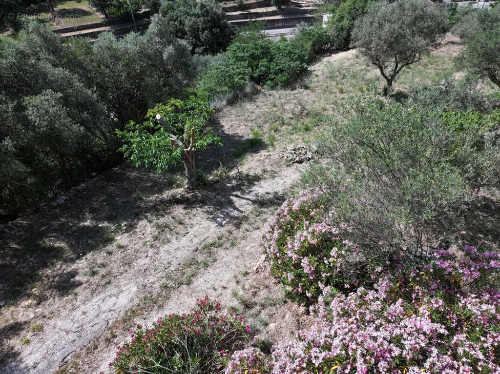 Jardin - Terrain Viabilisé à Solliès-Toucas