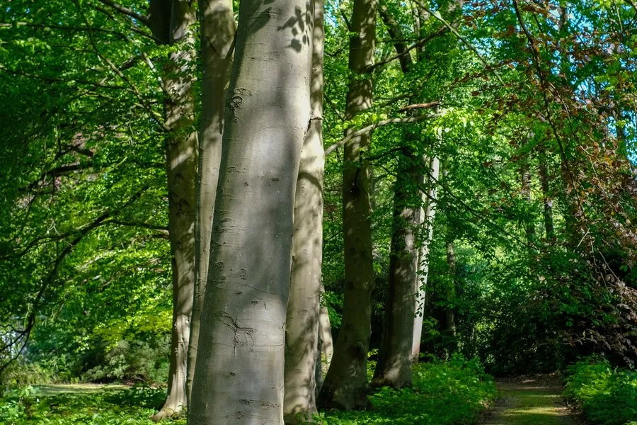Villa Caractéristique avec Parc de 2,7ha près de la Côte