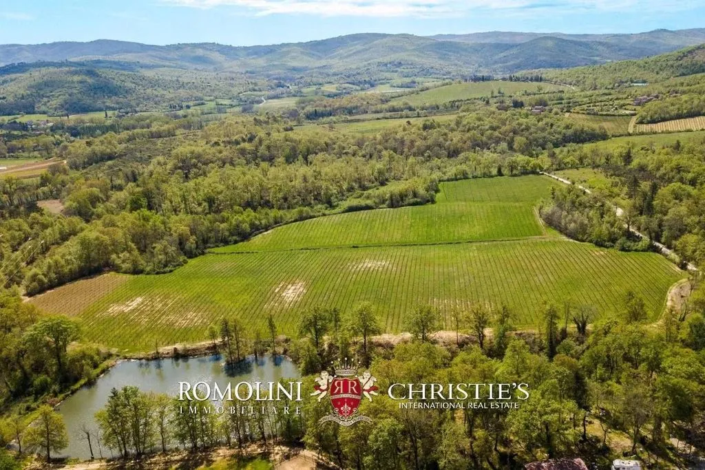 Vue aérienne - Vineyard Estate with Chianti DOCG in Bucine