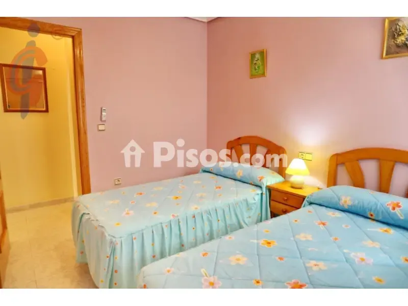 Magamistoad - East-Facing Apartment with Terrace in Guardamar