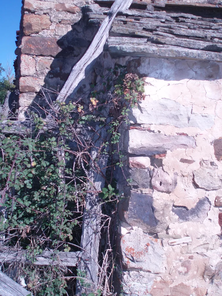 Extérieur - Two-Storey Chalet with Patio in Molino de Razón