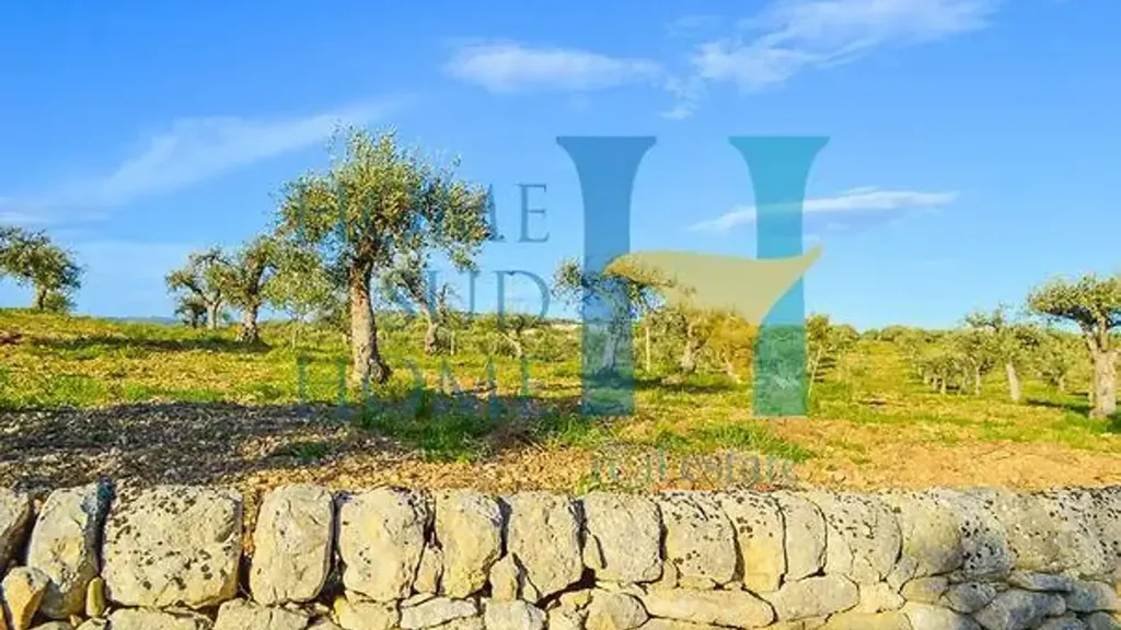 Garden - Villa with Olive Grove in Noto