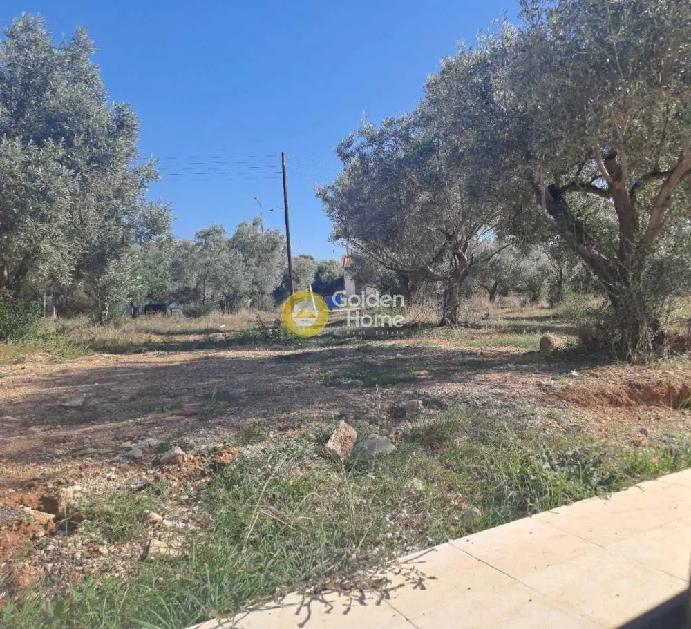 Jardin - Plot with Olive Trees in Loutraki-Perachora