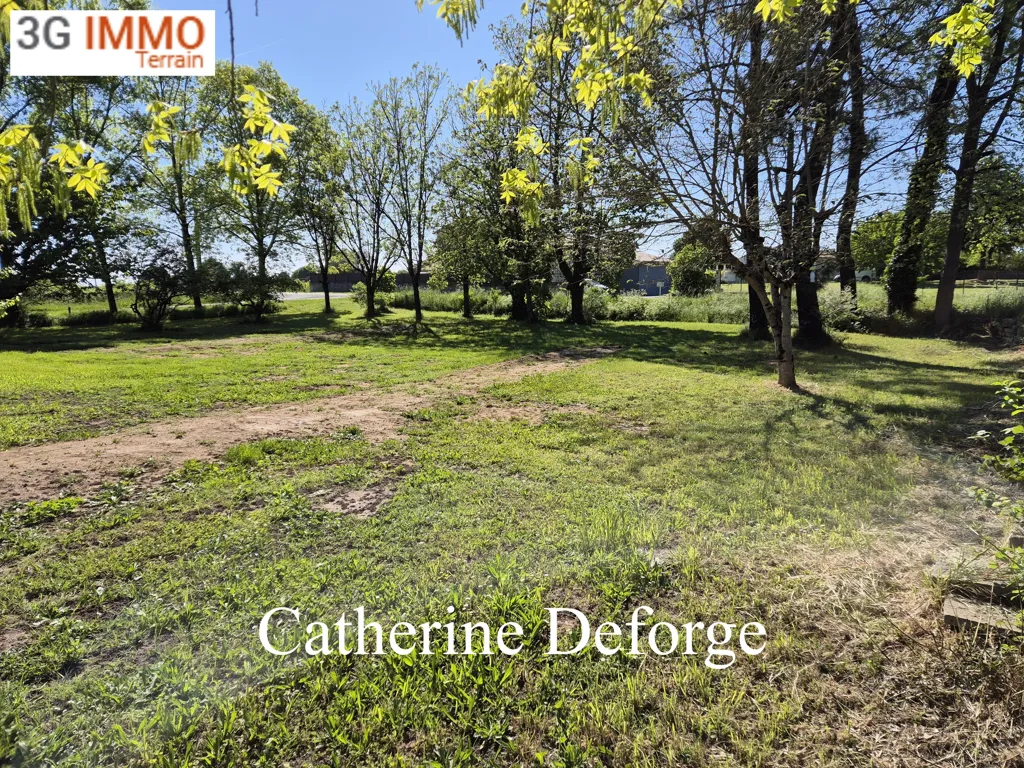 Jardin - Terrain Constructible Arboré près de Saint-André-de-Cubzac