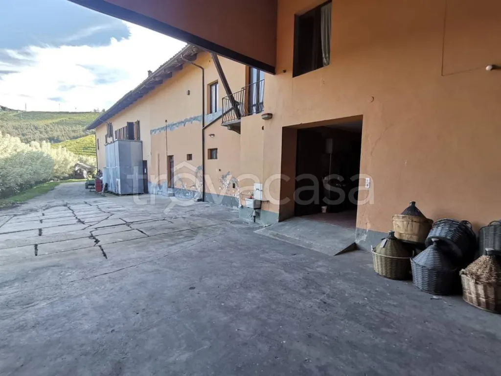 Jardin - Cascina with Vineyard View near Alba