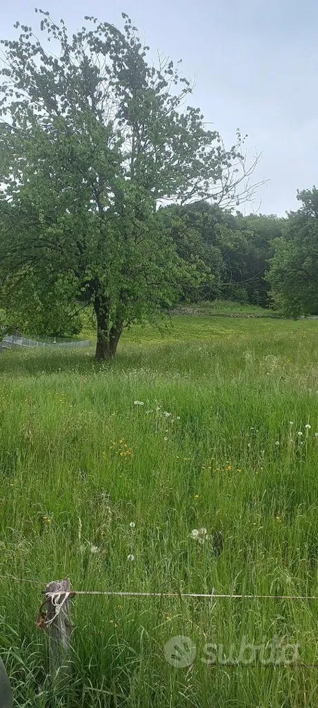 Garden - 5000sqm Land in Zogno, Bergamo