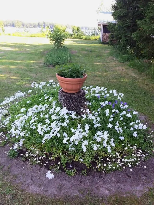 Giardino - Year-Round House with Lake View in Finland