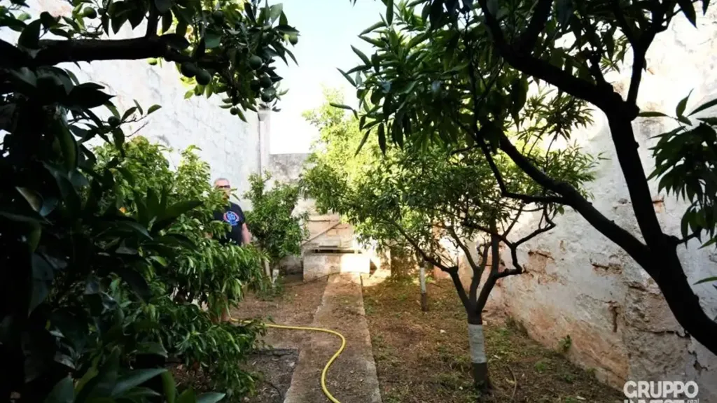 Jardin - Rustic Casali with Olive Grove in Ostuni