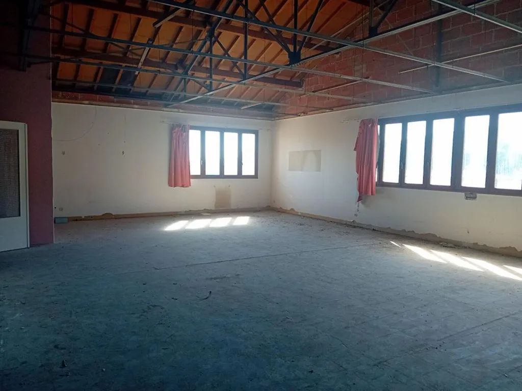 Toad - Renovation Project Apartment in Verzy