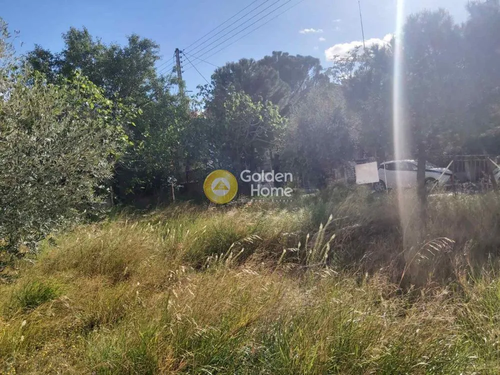 Aed - Plot with Sea View in Ano Liosia - Zofria