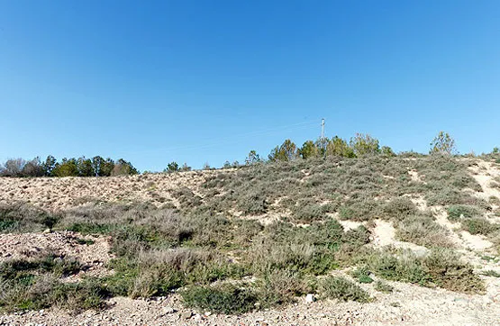 Garden - Land Parcel in Rincón de Soto, La Rioja