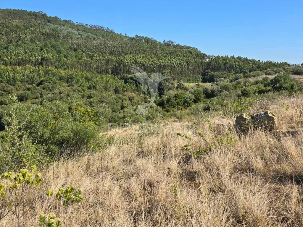 Jardin - Rustic Land with Approved Project in Mafra