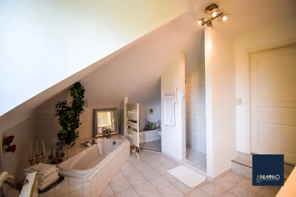 Vannitoad - Spacious Villa with Countryside View in Kampenhout