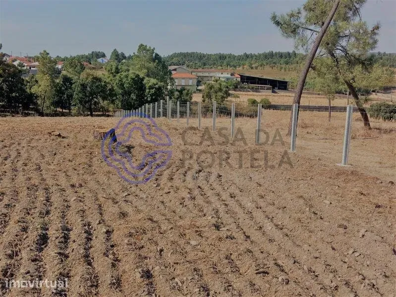 Jardin - Construction Plot for 4 Homes near Tomar