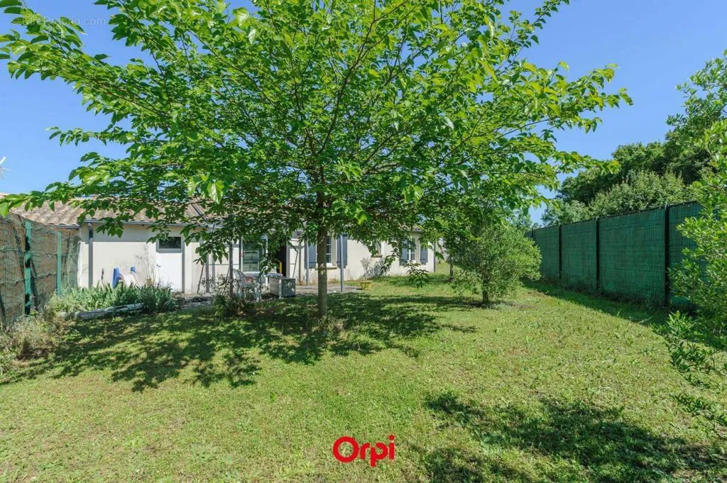 Jardin - Maison de Plain-pied avec Jardin à Aigrefeuille