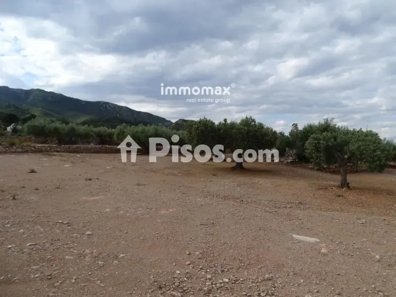 Aed - Rustic Farm with Olive Grove in Xerta