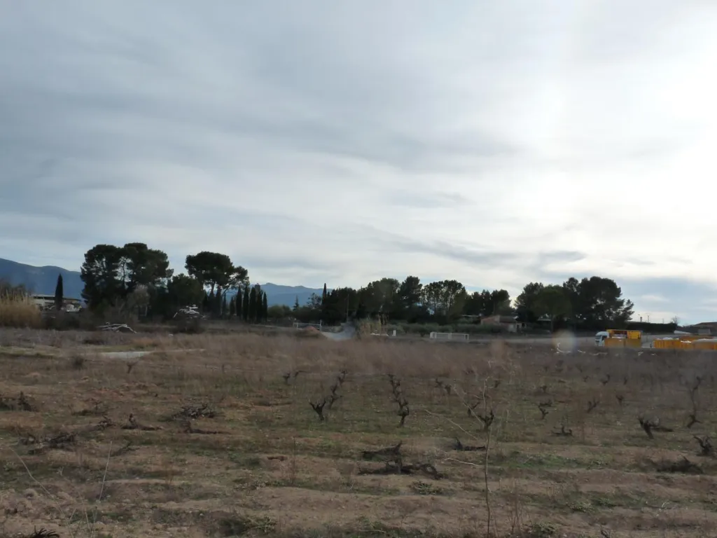 Jardin - Buildable Plot with Water Access in Alfarrasí