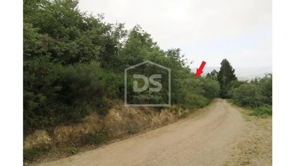 Jardin - Luxury Villa with Solar Panels in Penafiel