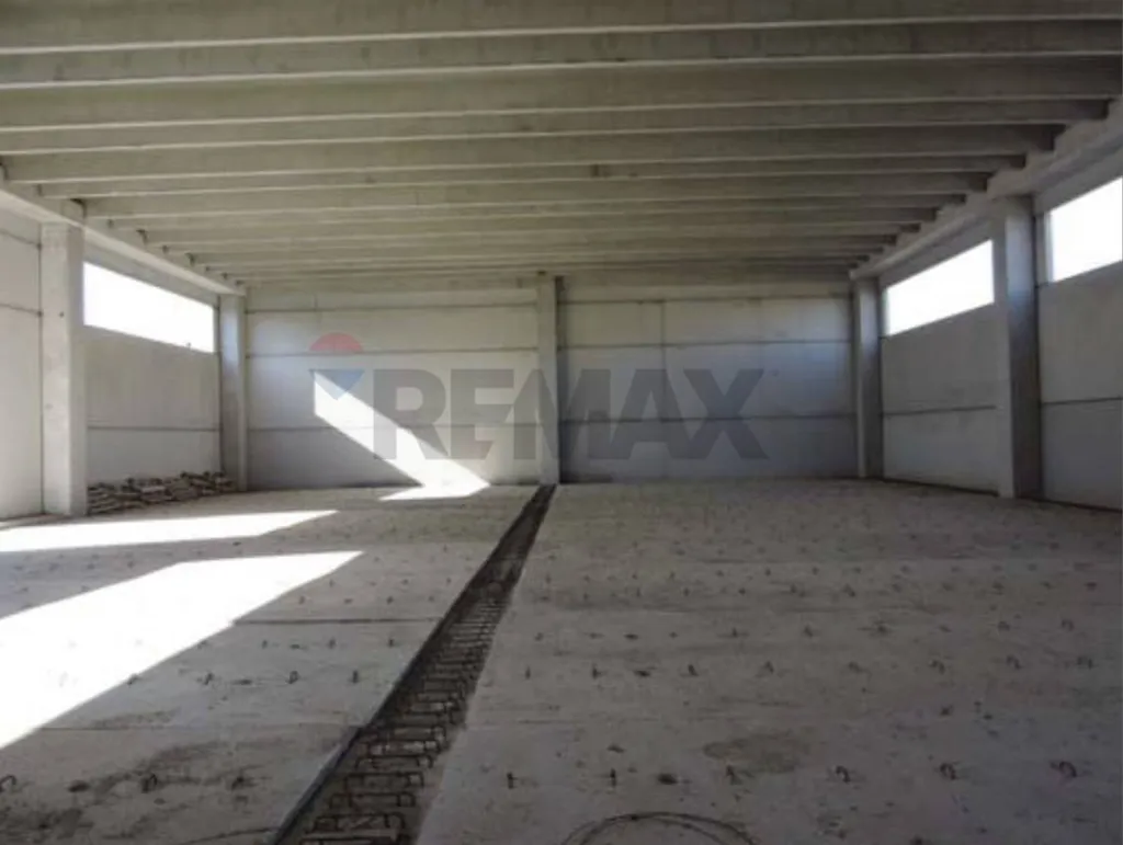 Toad - Industrial Warehouse with Customisation Potential in Mola di Bari