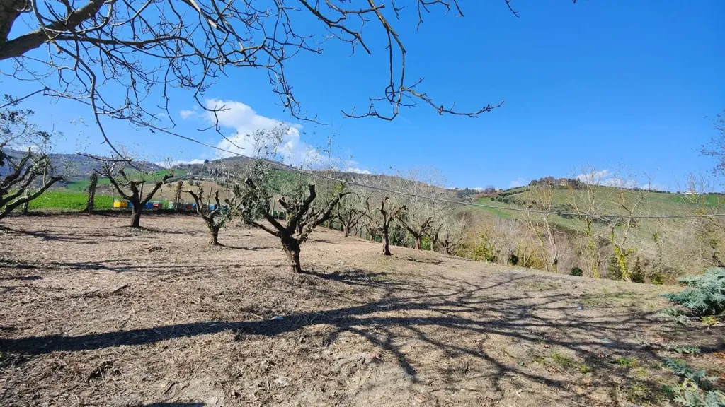 Jardin - Rustic House with Garden in Castignano