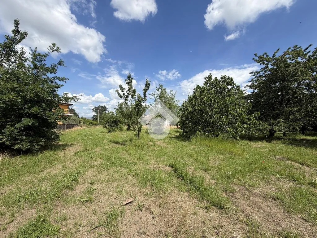 Jardin - Agricultural Land with Cherry Trees in Cervinara