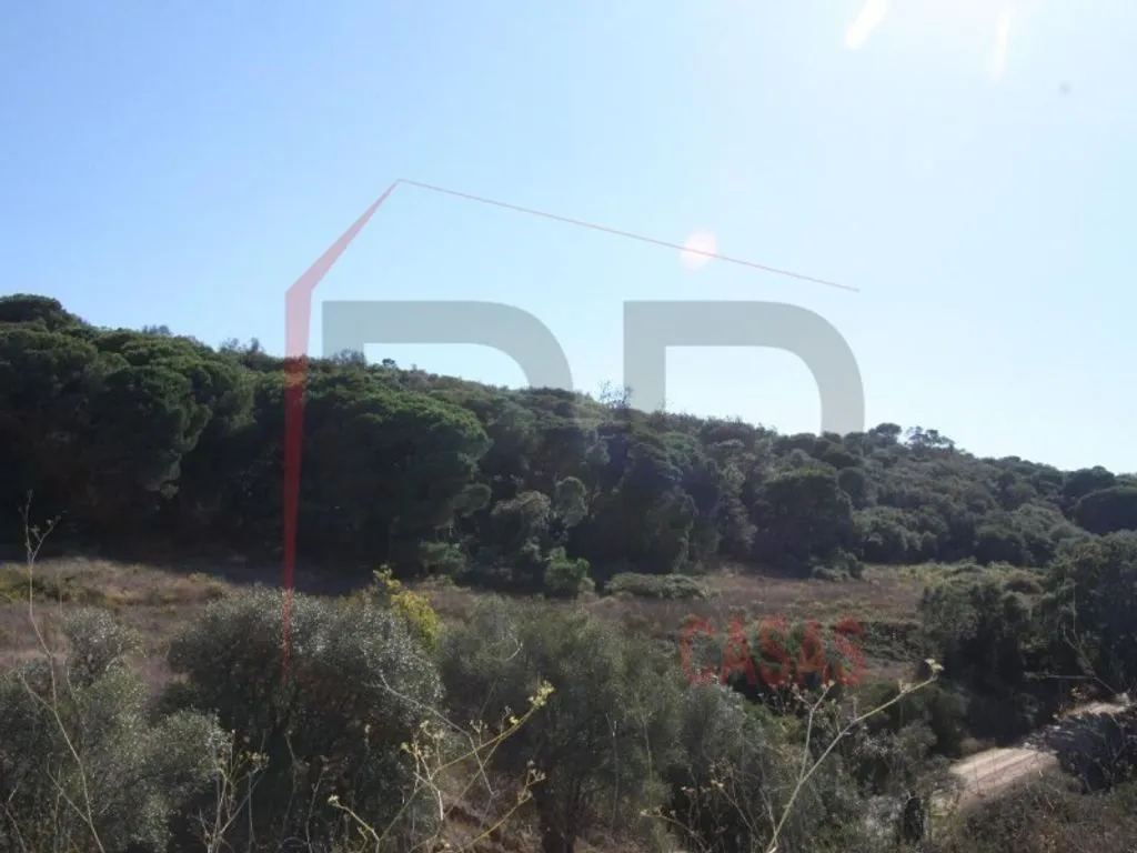 Aed - Farm with Panoramic View in Serra do Louro