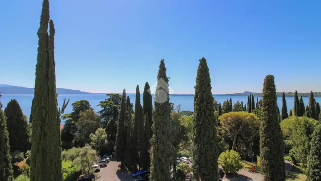 Vista aerea - Studio Apartment with Lake View in Gardone Riviera