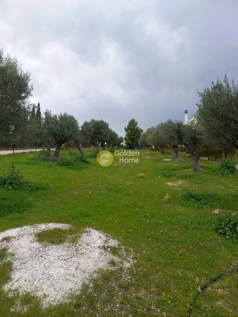 Aed - Agricultural Plot with Sea View in Markopoulo