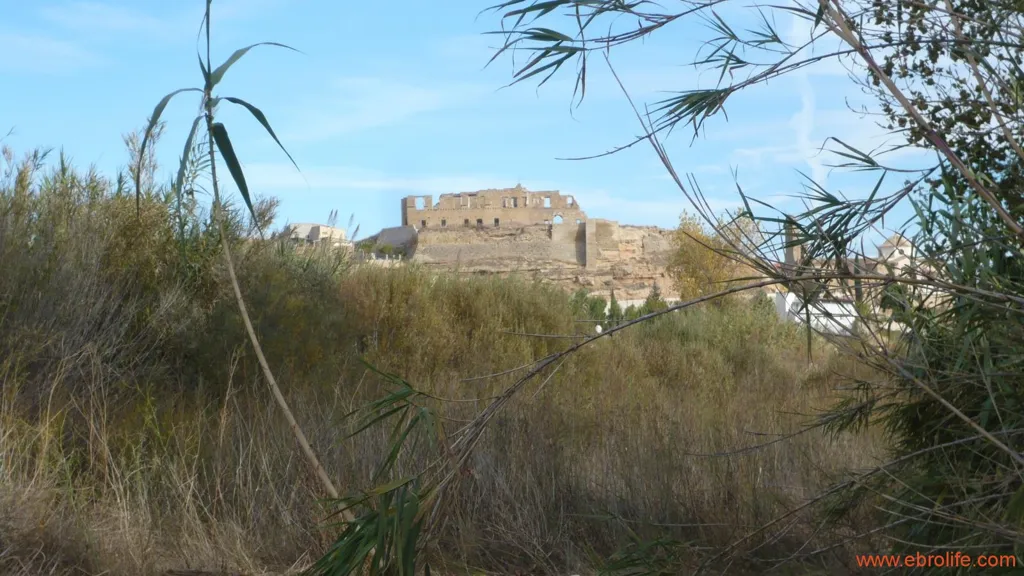 Farm with Naves and Service House in Maella