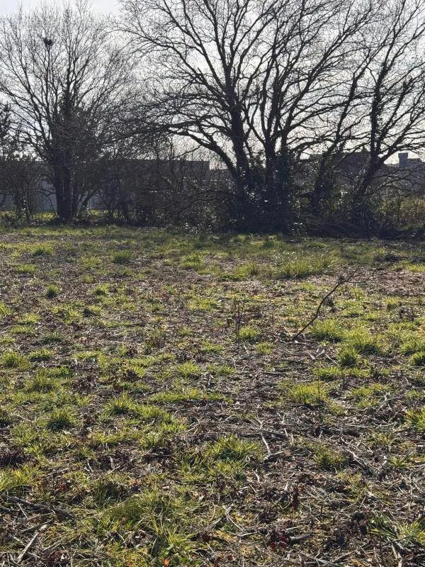 Jardin - Terrain Viabilisé à La Baule, Environnement Calme