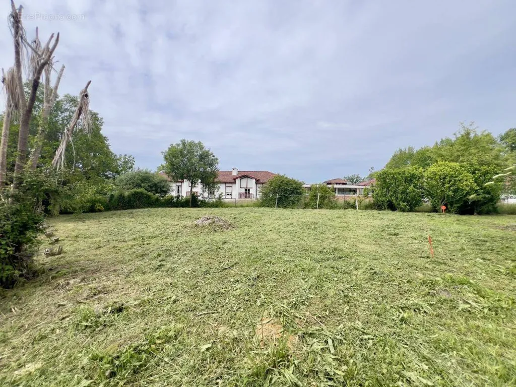 Aed - Buildable Plot with Central Location in Arbonne