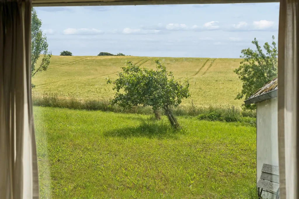 Toad - Historic Villa with Large Garden in Knebel