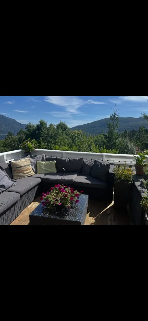 Terrazza - Charming Detached House with Garden in Seljord