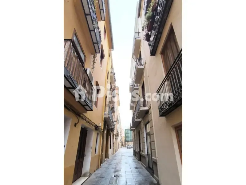 Giardino - Apartment with Balcón in Valencia Centre
