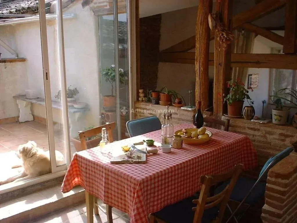 Rental Building in Gaillac Centre