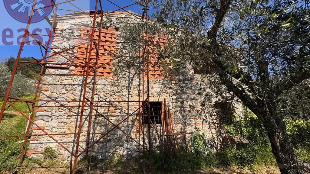 Extérieur - Rustic Property with Olive Grove in Lucca