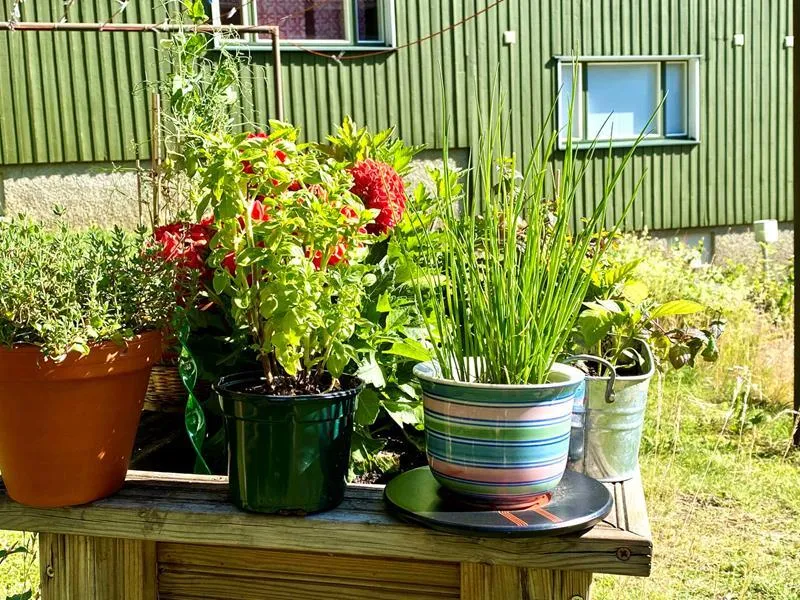 Giardino - One-Bedroom Flat with Balcony in Kypärämäki, Jyväskylä