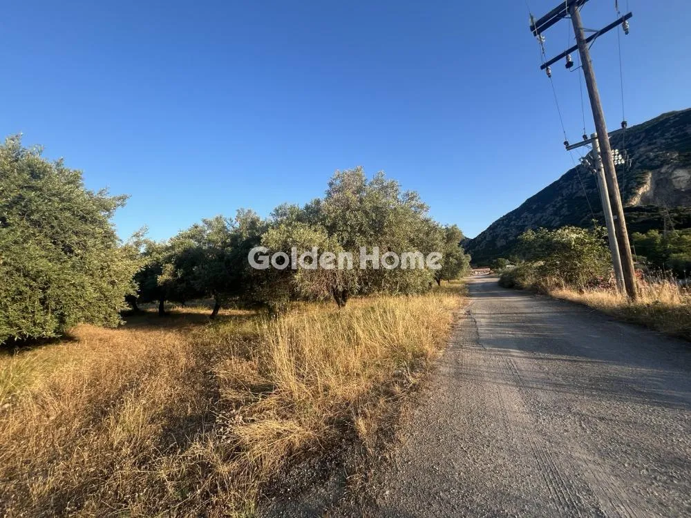 Giardino - Commercial Plot with Olive Trees in Traganá